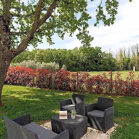 Villa In Istria With Heated Eco Pool Brtonigla