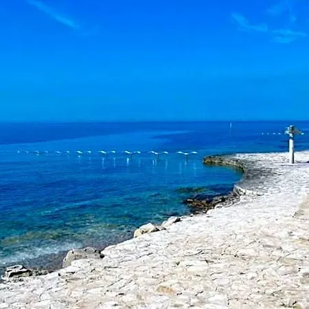 In Istria With Heated Eco Pool Villa Brtonigla